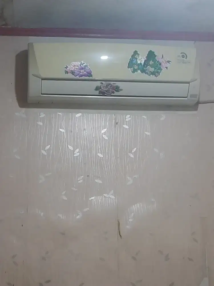 Sharp Thailand 1/2 pk