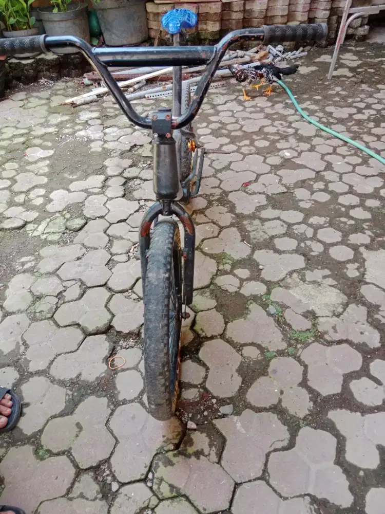 BMX Murah Apa Adanya