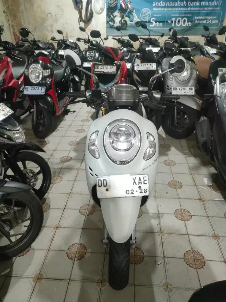 Honda Scoopy 2023 putih
