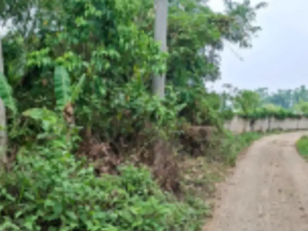 TANAH DIJUAL – KABUPATEN LEBAK