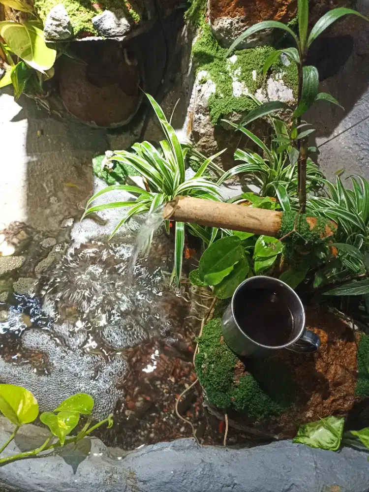 Terima jasa pembuatan kolam/taman mini