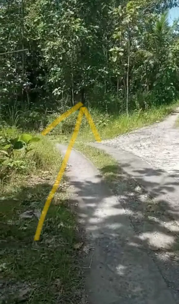 Tanah Kebon Jati SHM