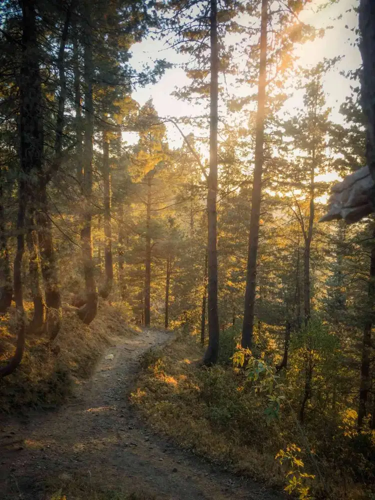 PACKING ONLINE SHOP, bisa bergabung secepatnya