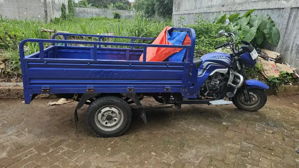 Viar roda 3 tipe 150L