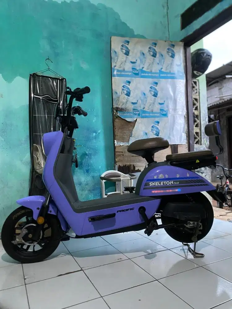 Sepeda listrik pacific skeleton