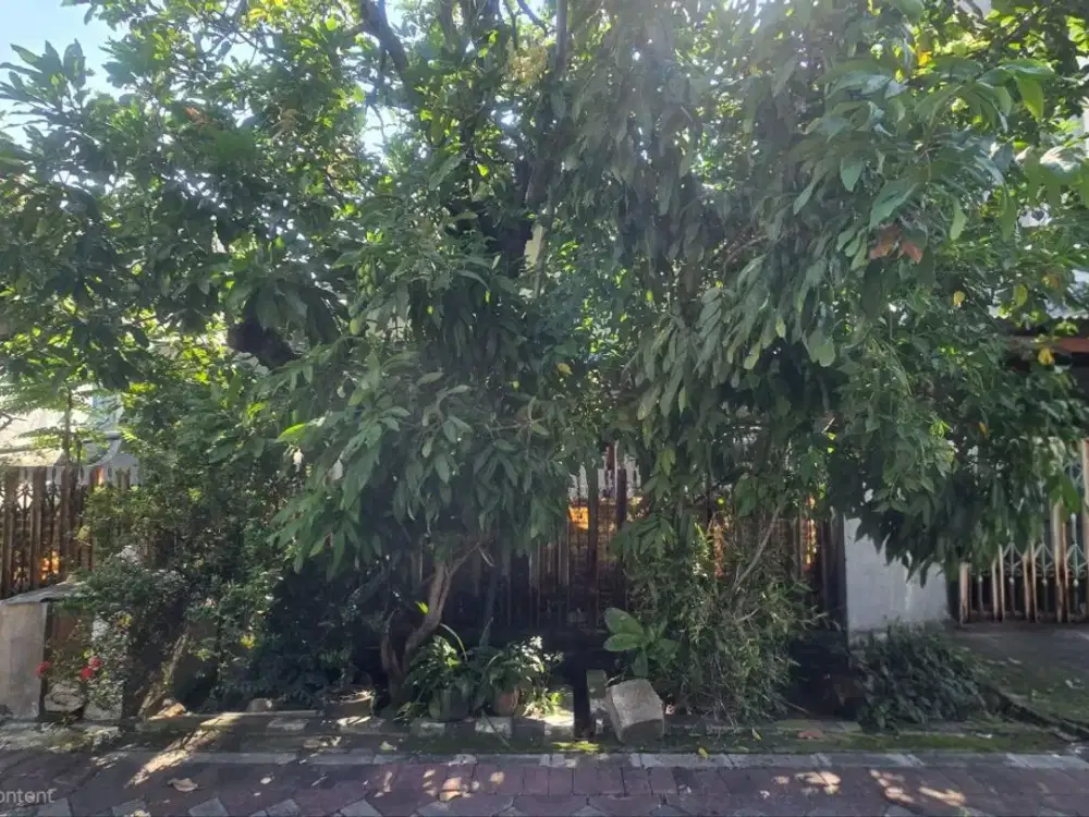 HITUNG TANAH   Rumah Mulyosari Utara STRATEGIS  hadap timur