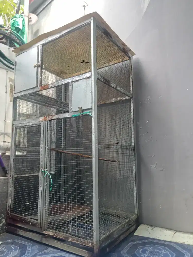 Kandang ternak murai