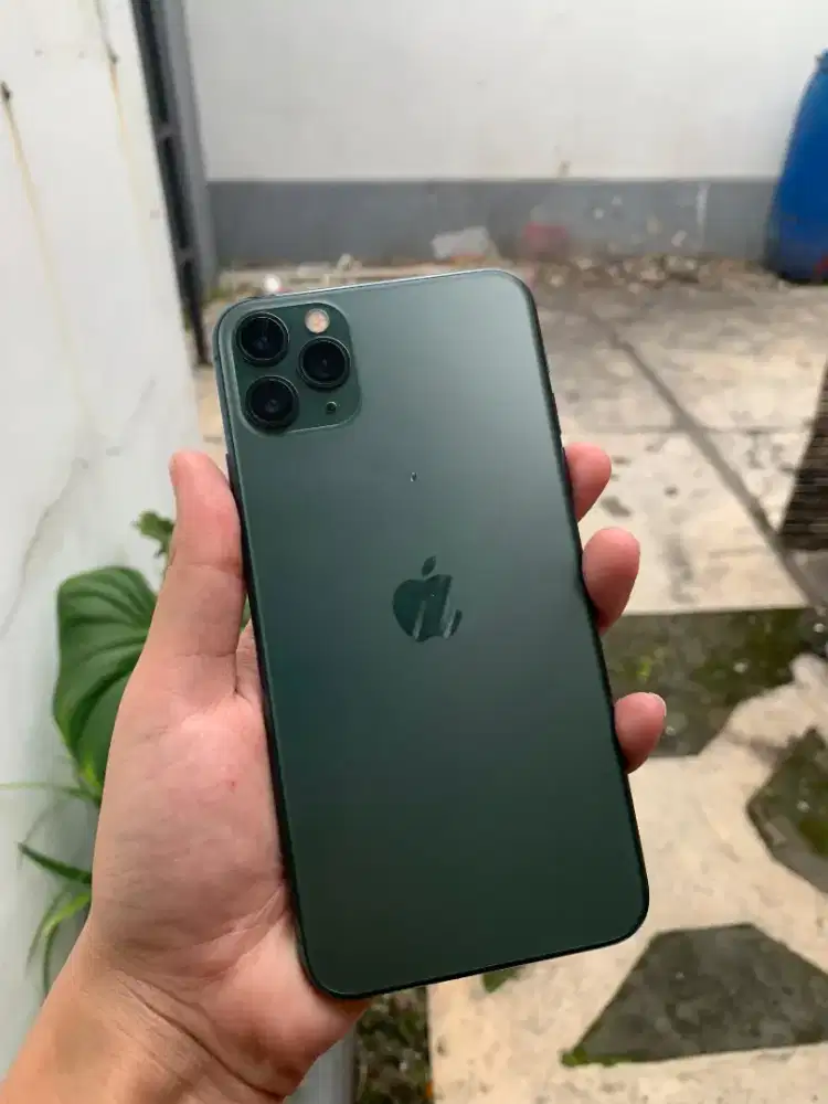 11 Promax 256gb beacukai