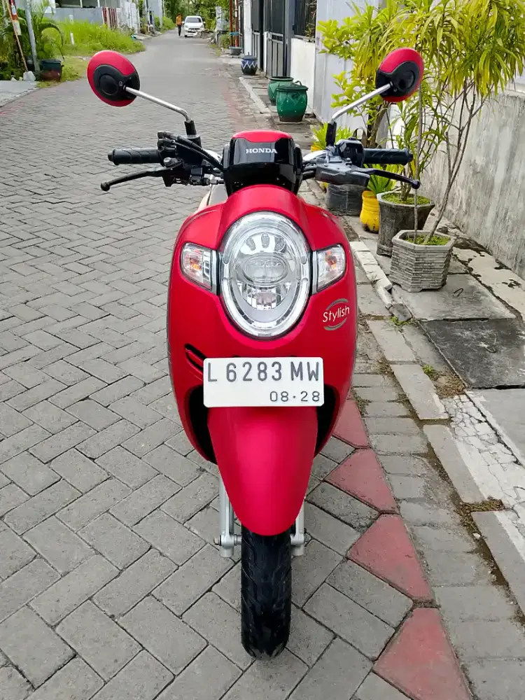 Scoopy 2018 Stylish