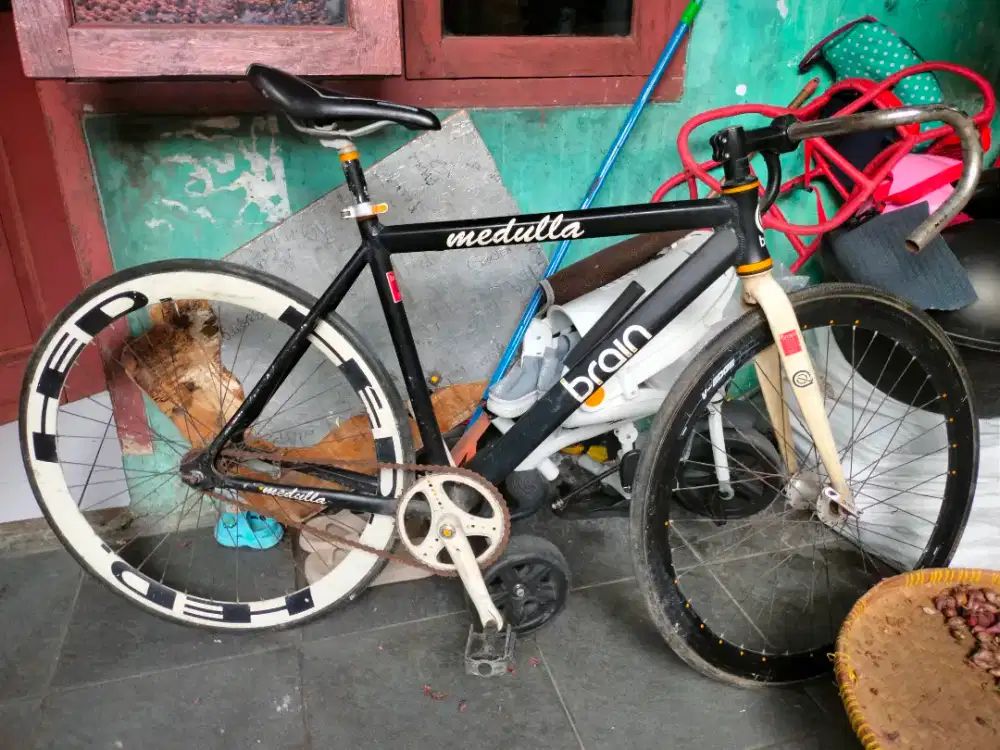 Fixie Brain Medulla Alloy