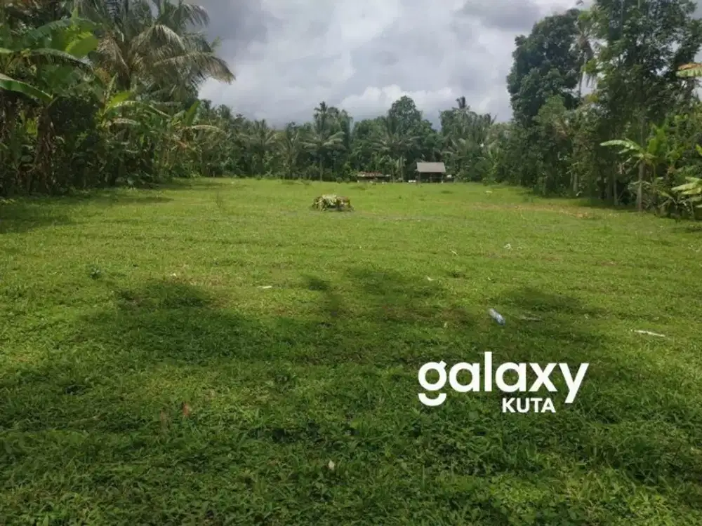 DIJUAL TANAH PETANG BADUNG, BALI