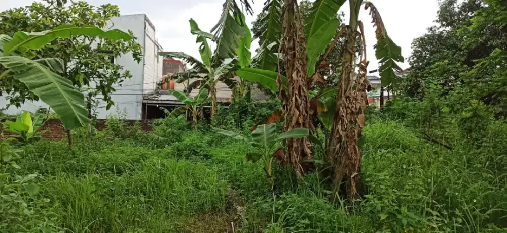 Jual tanah BU belakang tora mart sendangmulyo