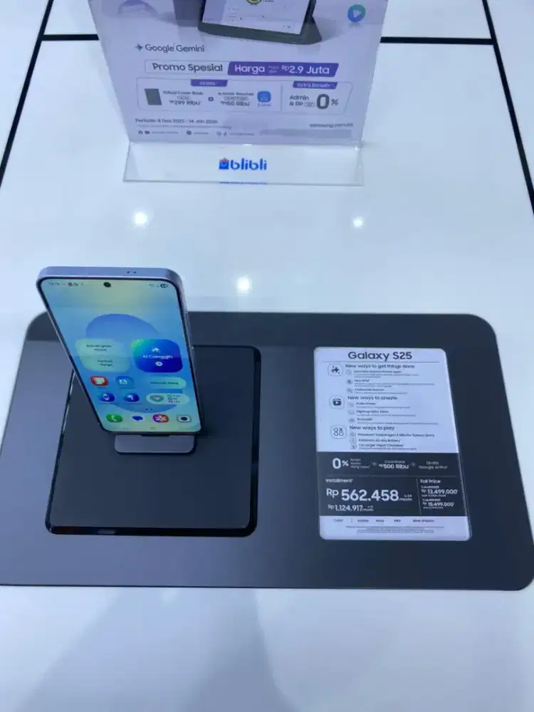 SAMSUNG GALAXY S25 12/256