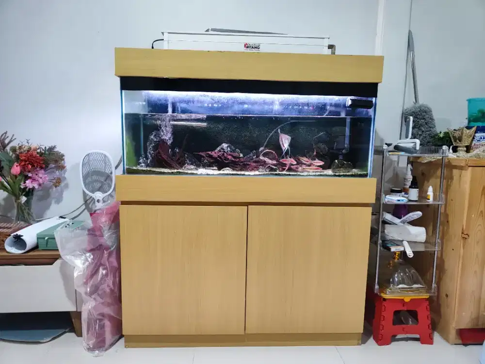 Aquarium 100x40x40 full set
