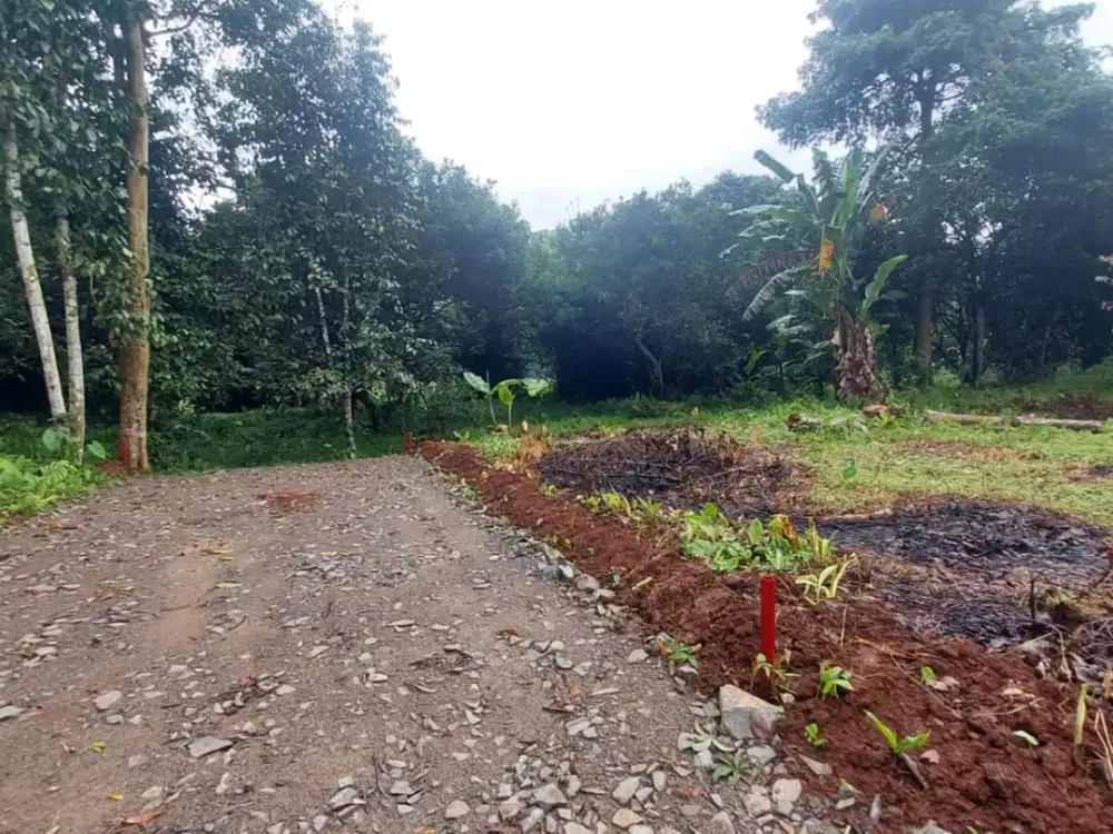 Kavling SHM 1 Jt-an Setu, Bekasi. Dekat Pintu Tol Burangkeng. Free Fasum