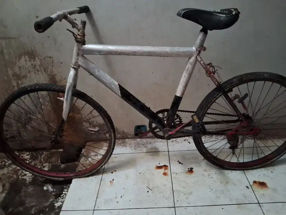 sepeda dewasa bekas