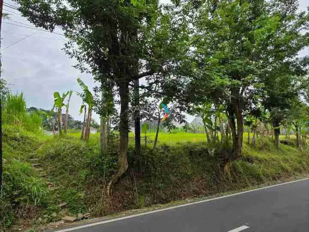 Dijual Tanah Di Poros Jalan Dieng Atas Kota Malang Dekat Kampus Brawijaya (UB) Dieng