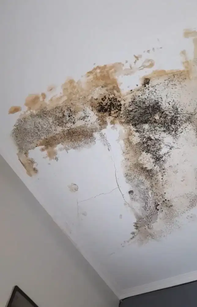 Tukang atap bocor bergaransi, jasa bangun rumah