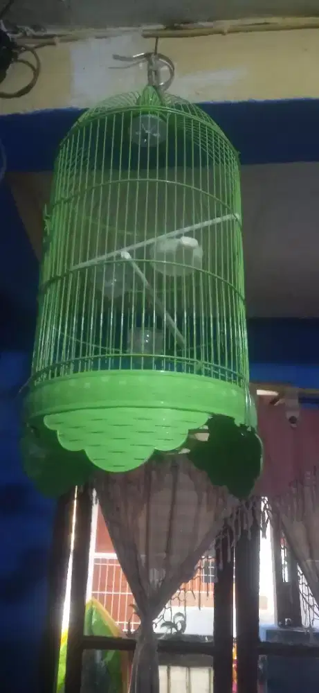 Kandang Lovebird Mulus