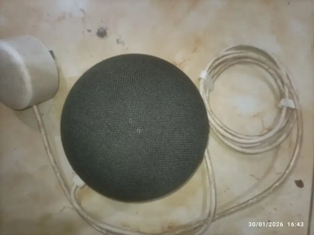 Smart Speaker Google Nest