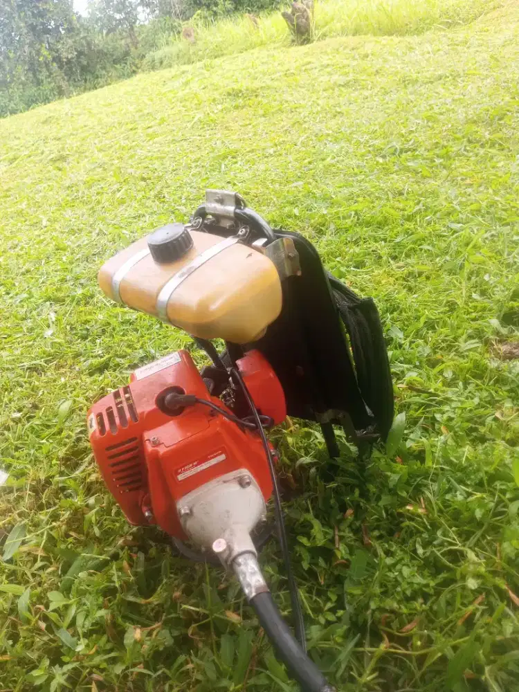 Tukang potong rumput taman area Bogor dan sekitarnya