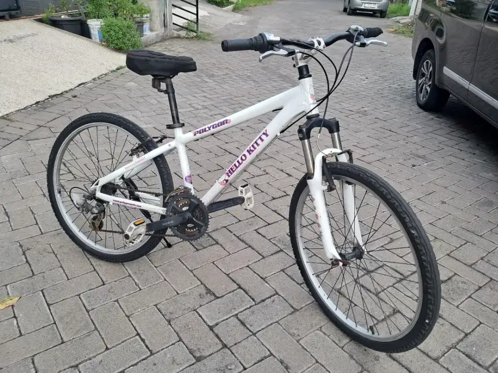 Polygon Hello Kitty Sepeda Gunung Lady