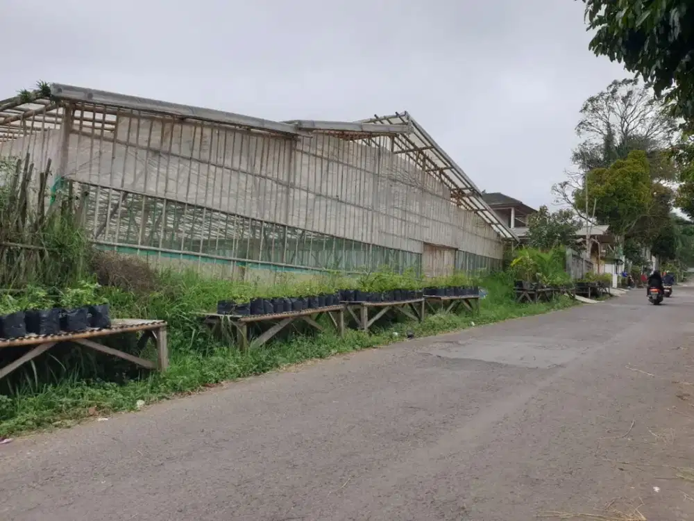 Lembang Asri, Kolonel Masturi. Tanah Kebun dengan View di Bandung