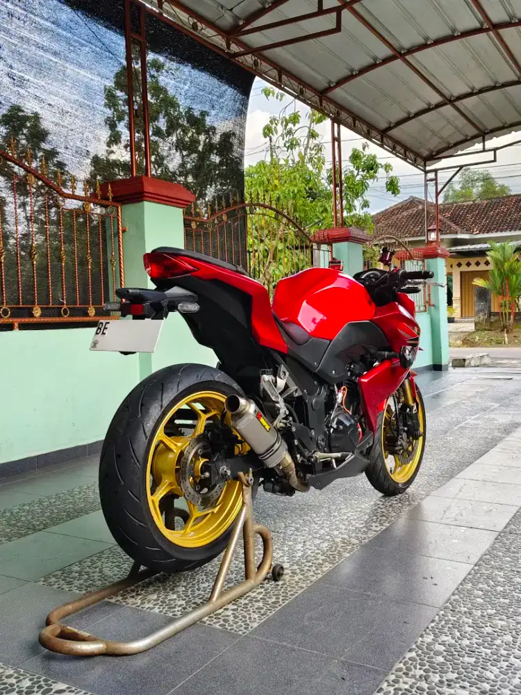 Kawasaki Ninja Z250 FI 2 Silinder Istimewa