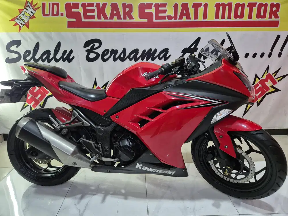 Ninja 250 2016 plat L