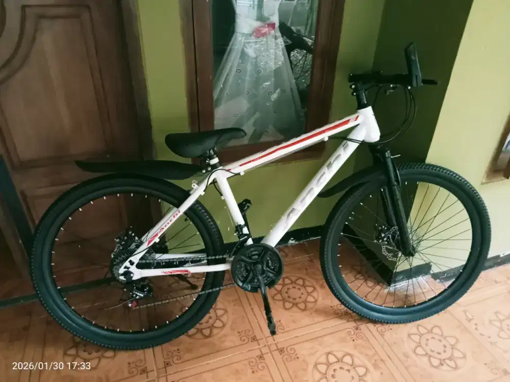 Sepeda gunung polygon