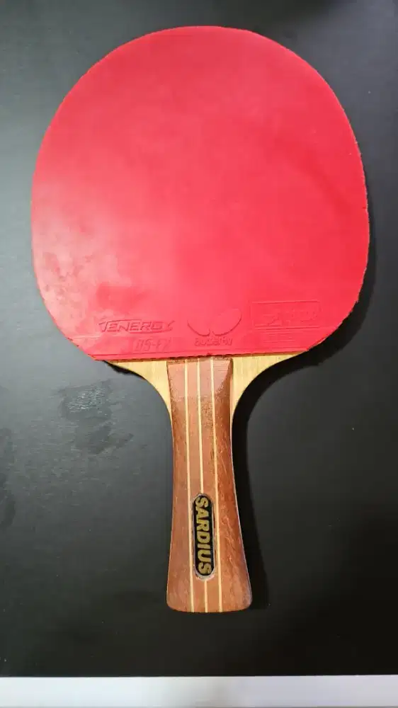 Bet Pingpong Sardius lokal