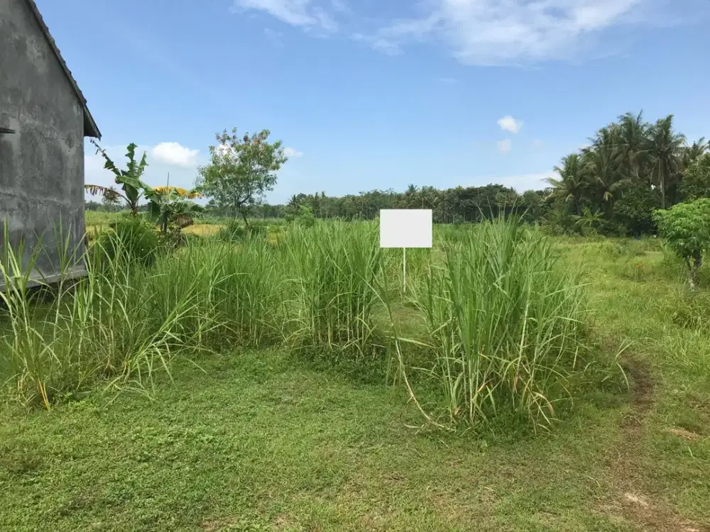 Tanah Kulonprogo Wates Dekat Bandara Baru NYIA