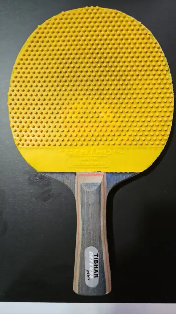 Bet Pingpong Tibhar Defense Plus