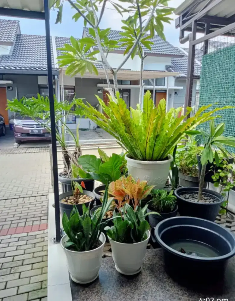 RUMAH IDAMAN 5 Menit dari Tol Pasteur