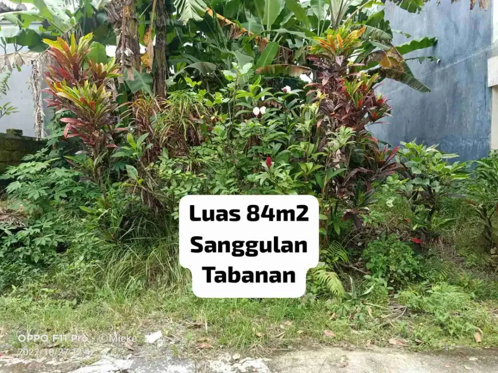 Jual Tanah, Jalan 5m, Hadap Timur, di Sanggulan Tabanan
