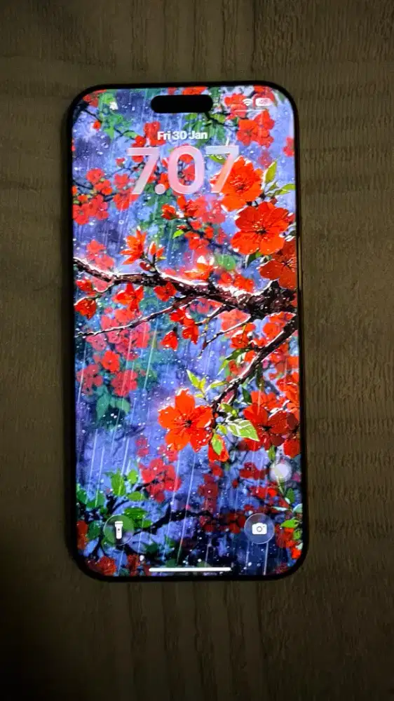 iPhone 16 Promax 256 gb