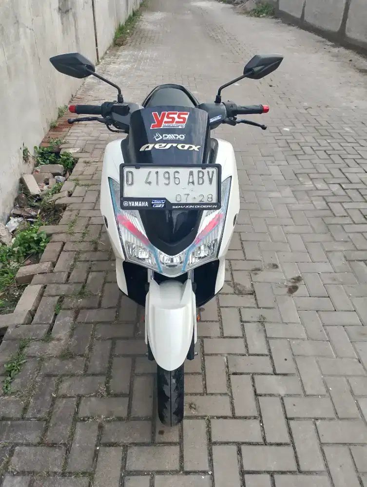 Lexi 125 ISS Thun 2018 kodya terawat