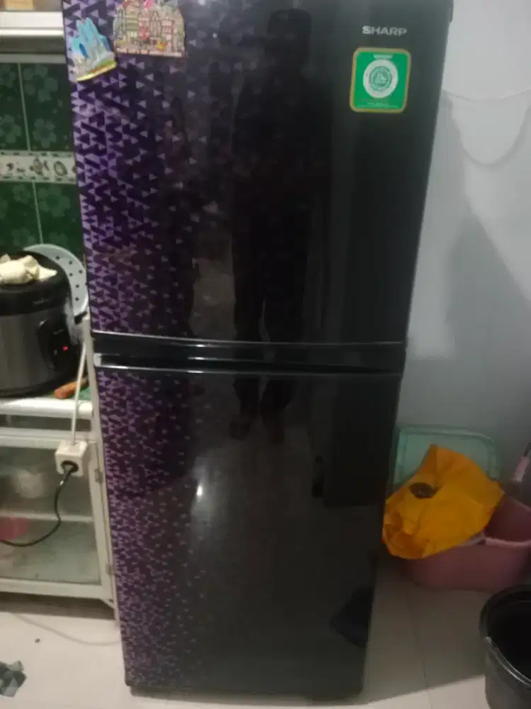 Kulkas shrap 2 pintu