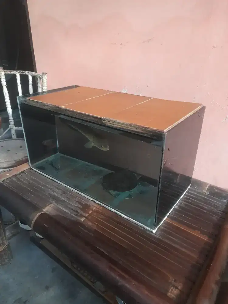 Akuarium Ukuran 60×30×30 + isinya