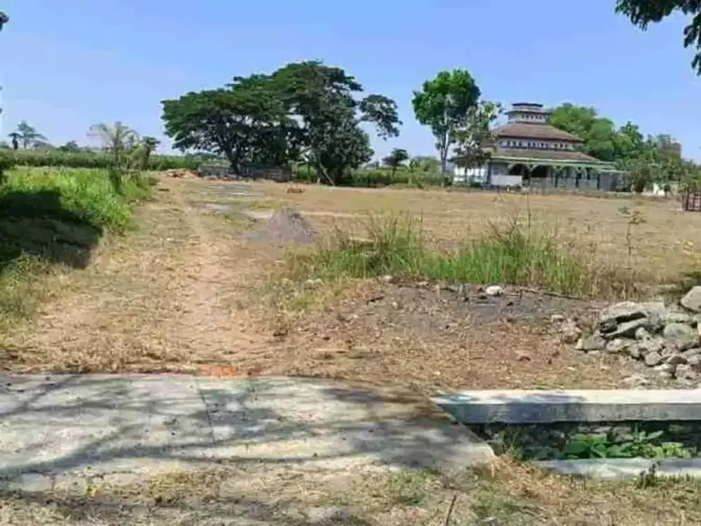 jual tanah zona kuning bagus untuk perumahan cluster  ,pondok pesantren ,dekat semua fasum di kayangan Diwek Jombang