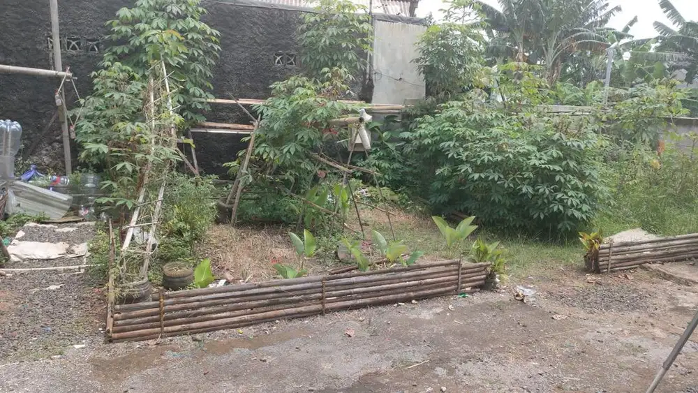 jual tanah harga bisa nego