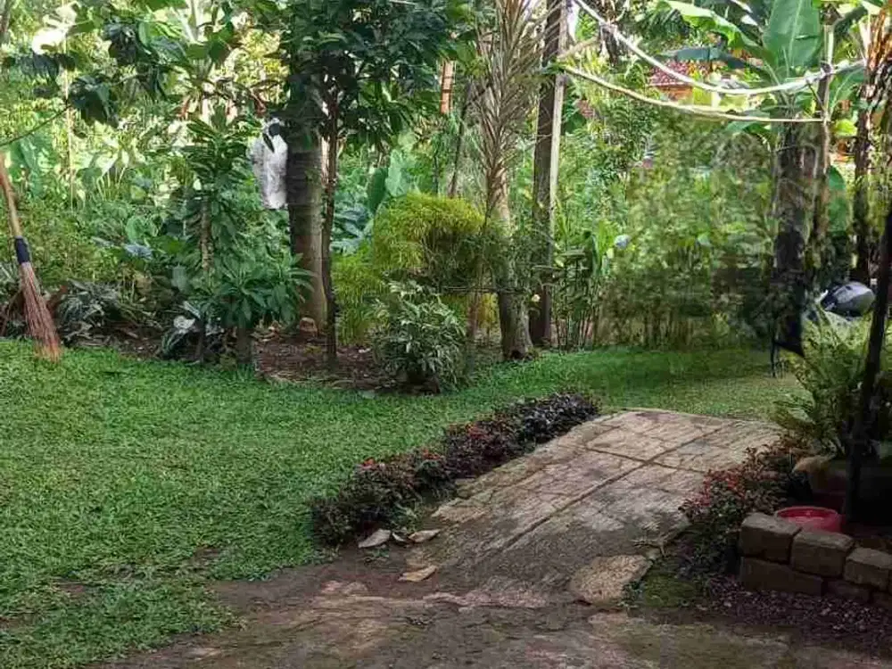 Disewakan Tanah Tidak Jauh Dr BSD Cibinong Parungpung Gunung Sindur Bogor