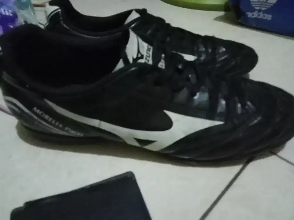 Sepatu futsal Mizuno morela