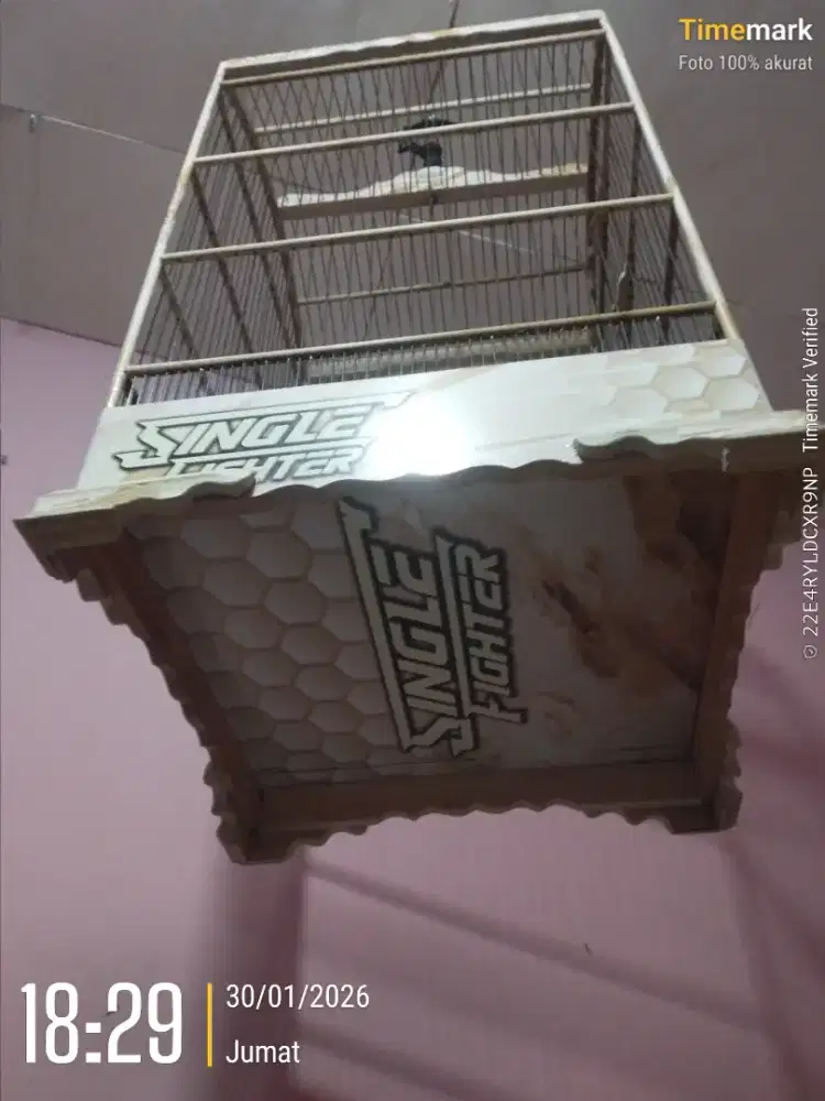 Sangkar kosan stiker dekal