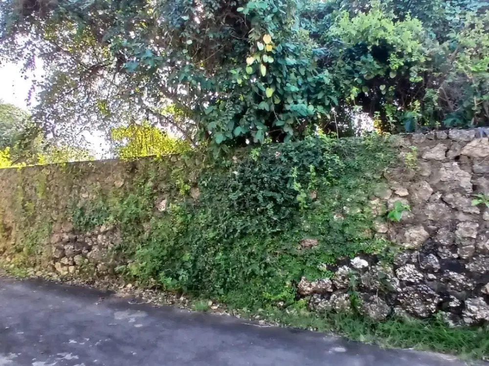 Dijual tanah di Jalan Karang Tinggi depan villa hotman pandawa