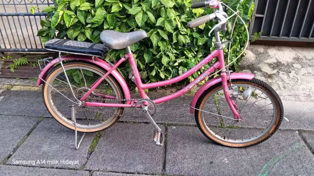 Jual sepeda bekas model cewek anak² feminim