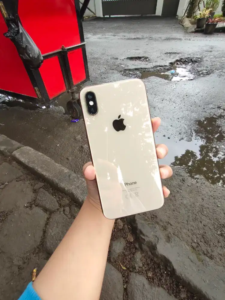 iPhone Xs 64Gb inter