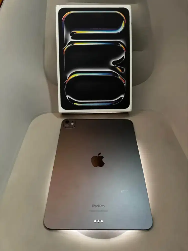 IPAD PRO 11inci M4 256GB