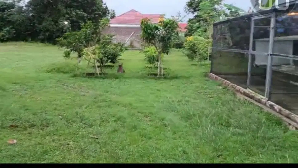 Rumah Bonus Tanah 2.600 m² di Sekumpul  – Cocok Hunian Keluarga