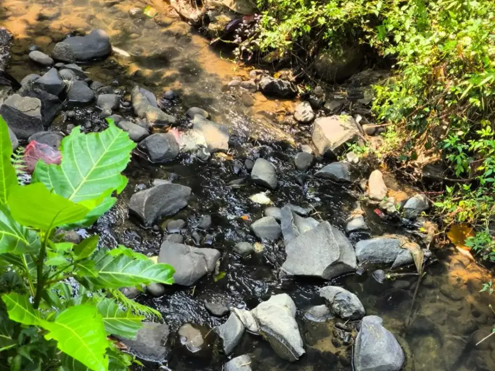 Kavling Bogor - Depan Lap Golf Sentul - SIAP BANGUN IMB Ada - Murah Langka